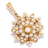 ANTIQUE SEED PEARL BROOCH / PENDANT in high carat yellow gold, in foliate motif set with seed