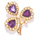 ANTIQUE AMETHYST AND SEED PEARL CLOVER BROOCH / PENDANT in 15ct yellow gold, depicting a clover