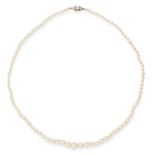 PEARL AND DIAMOND BEAD NECKLACE comprising of a single row of pearl beads, with round cut diamond