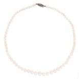 SINGLE STRAND PEARL NECKLACE comprising of seventy-two pearls, between 3.4mm and 7.7mm in