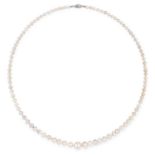 A NATURAL PEARL AND DIAMOND NECKLACE set with a diamond clasp, comprising of single row of ninety-