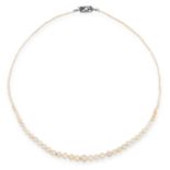 ANTIQUE PEARL NECKLACE comprising of a single row of graduated pearls set with a diamond and pearl