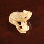 A JAPANESE IVORY NETSUKE OF TOADS