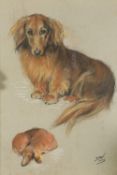 DOROTHY WRIGHT, STUDIES OF DOGS