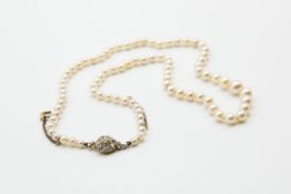 A CULTURED PEARL NECKLACE