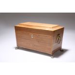 A REGENCY ROSEWOOD TEA CADDY