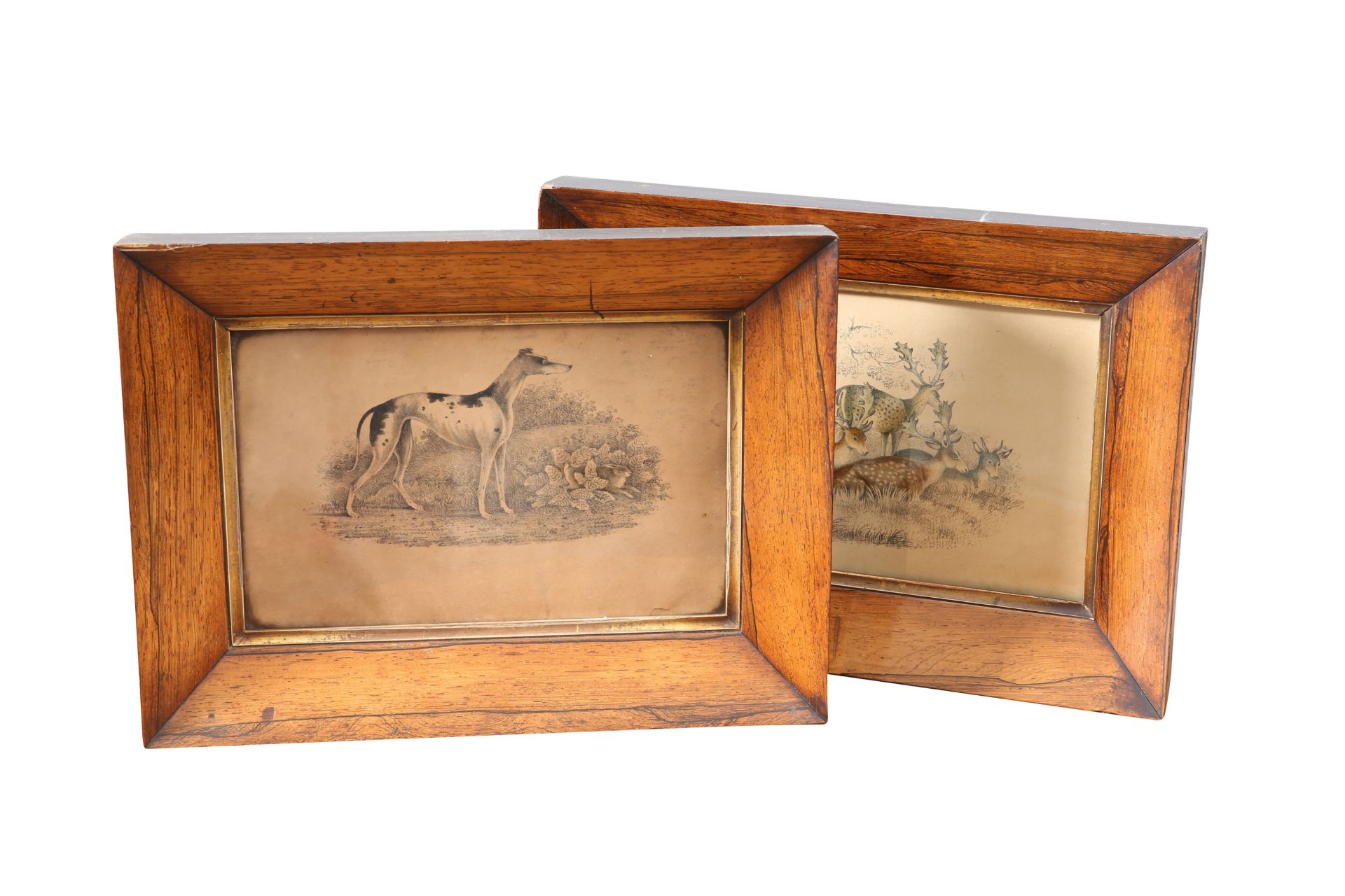 A PAIR OF REGENCY ROSEWOOD FRAMED PRINTS