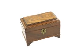 A GEORGE III MAHOGANY TEA CADDY