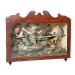 TAXIDERMY: A VICTORIAN CASED DIORAMA OF BIRDS