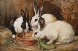 ALICE EDITH ROSS (EX.1886-1937), RABBITS FEEDING