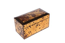 AN EARLY 19TH CENTURY TORTOISESHELL AND ROSEWOOD BOX