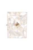 A 19TH CENTURY MOTHER OF PEARL COMBINATION CARD CASE PURSE