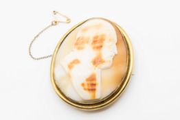 A VICTORIAN SHELL CAMEO BROOCH