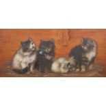 BESSIE BAMBER (1870-1910), FOUR KITTENS