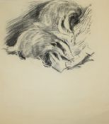 EILEEN ALICE SOPER (1905-1990), SIX CHARCOAL AND PENCIL DRAWINGS OF BADGERS