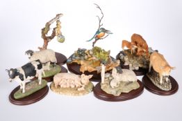 EIGHT SHERRATT & SIMPSON ANIMAL MODELS