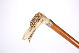 A LATE VICTORIAN DOG'S HEAD MALACCA WALKING CANE