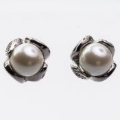 A PAIR OF CULTURED PEARL STUD EARRINGS