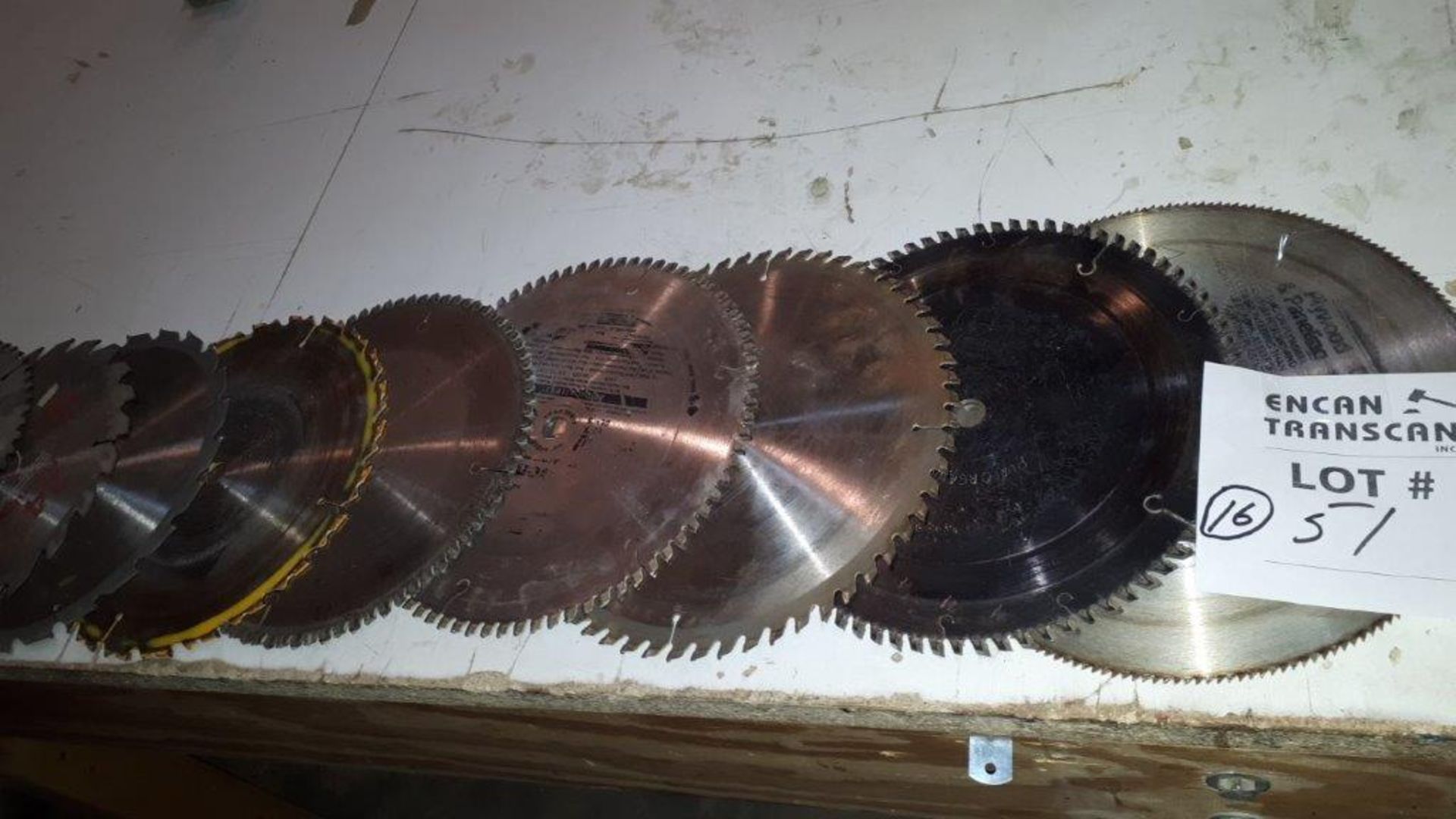 LOT: (16) Assorted Saw Blades - Image 4 of 4