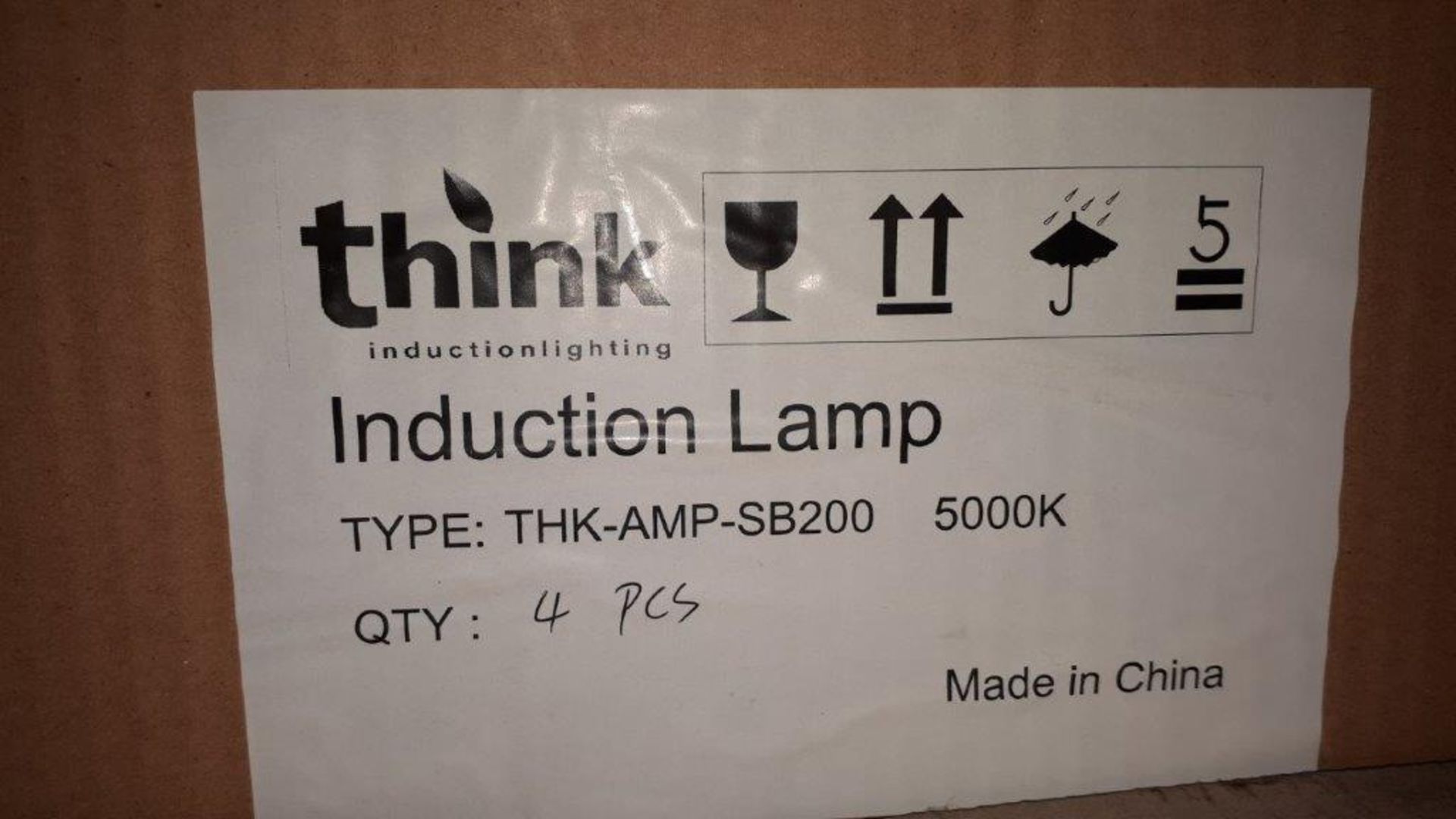 Assorted induction lamp