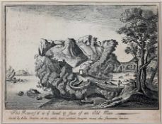 Hollar, Wenzel1607 Prag -1677 London; böhm Zeichner und Kupferstecher. This revers'd is ey head &