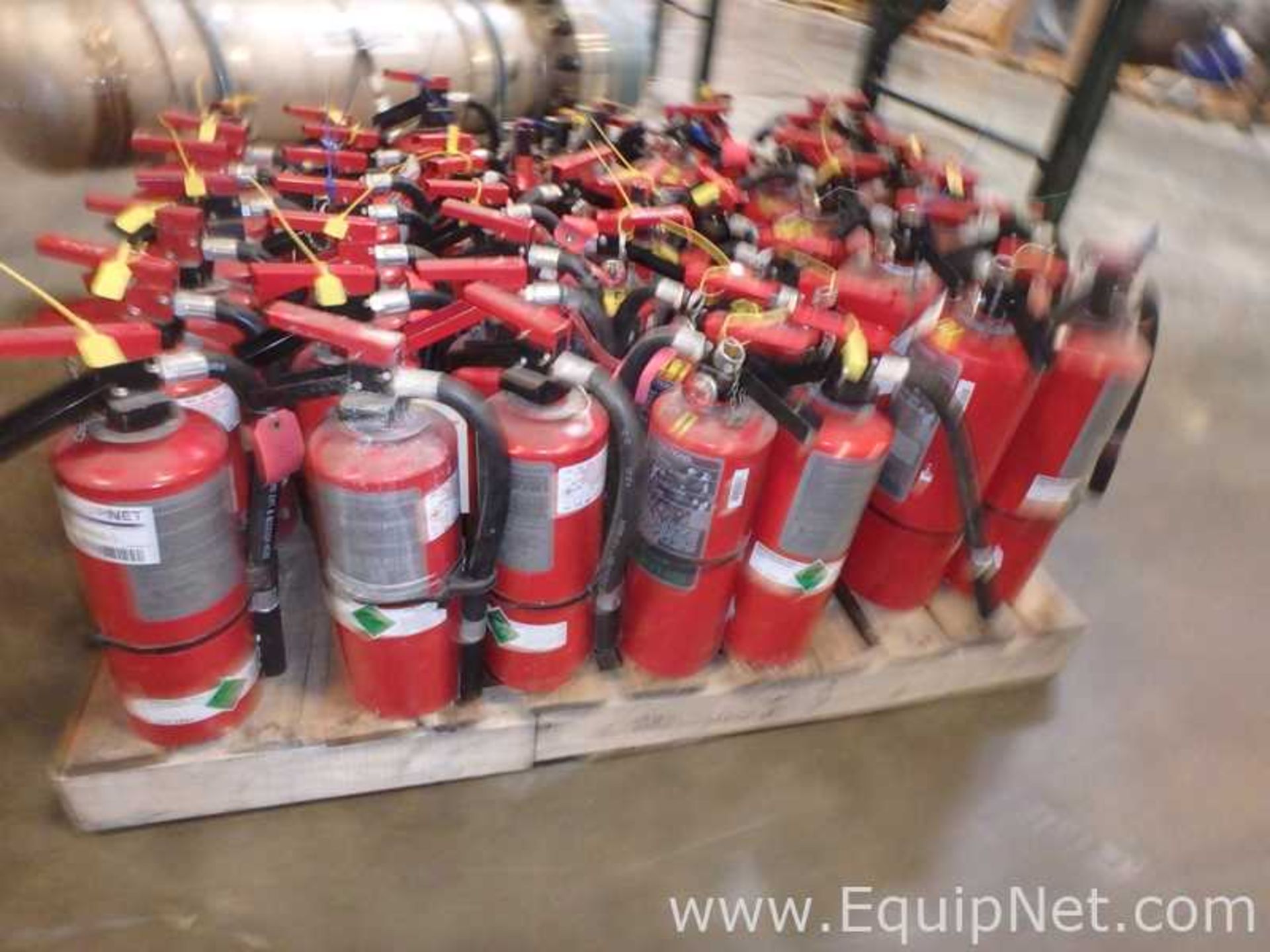Lot of Approximately 40 Ansul Sentry Fire Extinguishers - Image 2 of 4