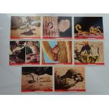 WALT DISNEY: LIVE ACTION LOBBY CARDS - 3 X 8 card sets of UK Lobby cards for: THE LEGEND OF LOBO (