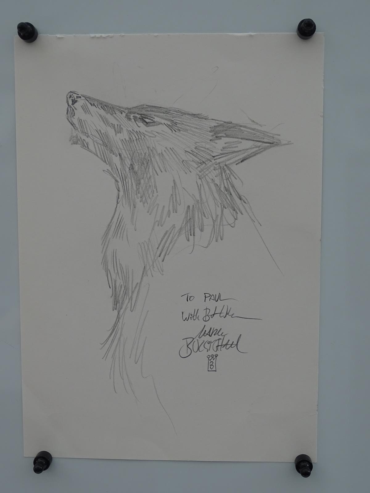 MARK BUCKINGHAM ORIGINAL 'WOLF' DRAWING - SIGNED BY ARTIST MARK BUCKINGHAM - Pencil, graphite sketch