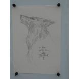 MARK BUCKINGHAM ORIGINAL 'WOLF' DRAWING - SIGNED BY ARTIST MARK BUCKINGHAM - Pencil, graphite sketch