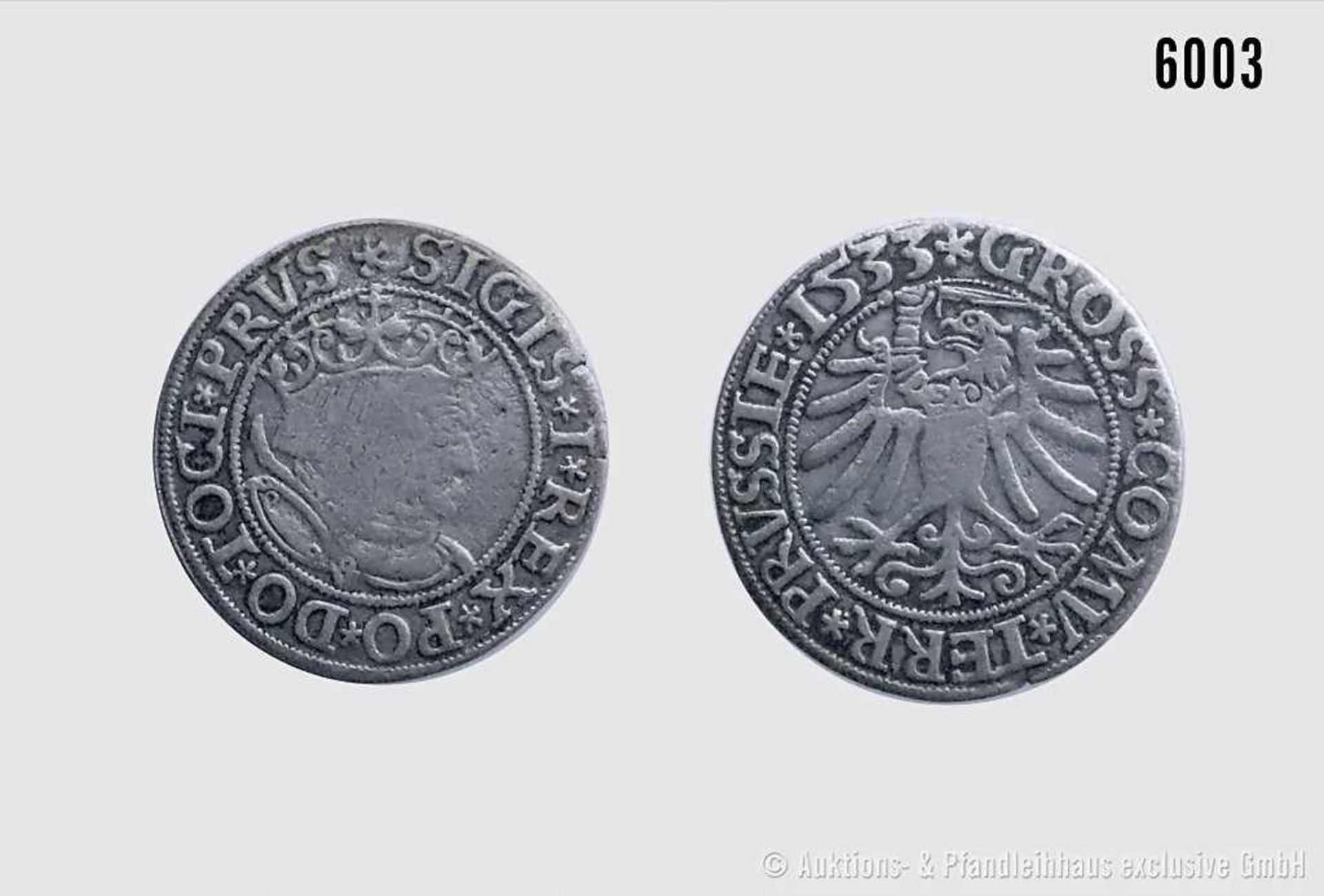 Königreich Polen, Sigismund I. (1506-1548), Groschen 1533, Thorn, Prägung für das Herzogtum