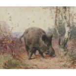 Georges Frédéric ROTIG (1873-1961) - Sanglier dans le sous bois - Aquarelle signée [...]