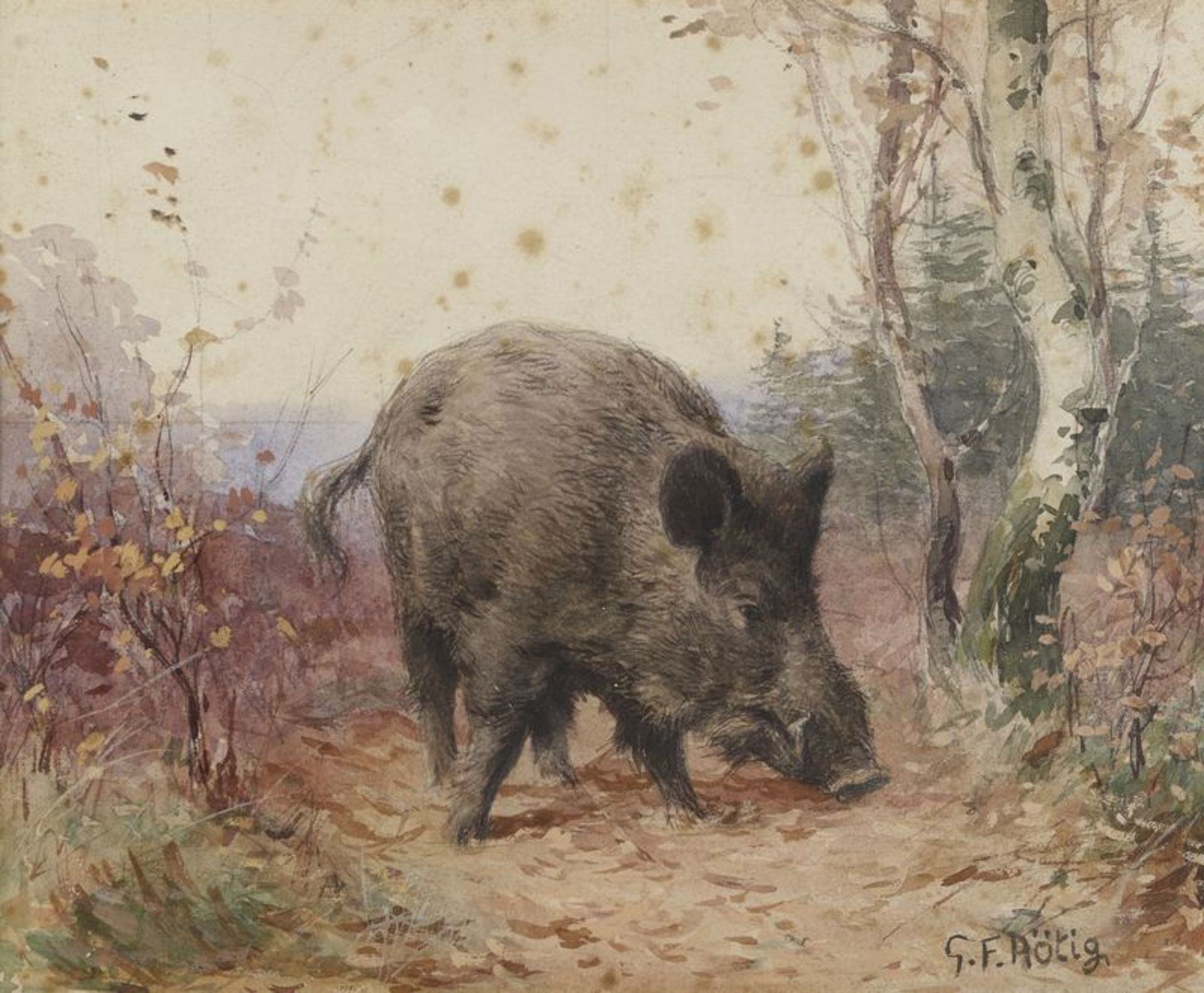 Georges Frédéric ROTIG (1873-1961) - Sanglier dans le sous bois - Aquarelle signée [...]