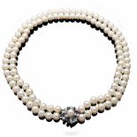 Perlencollier mit ZierschließeDoppelreihiges Collier bestehend aus 106 sehr feinen Akoya-