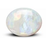 Opal-CabochonUngefasster, ovaler Opal-Cabochon von 14,14 ct. Lebhaftes Farbspiel in grün-, blau- und