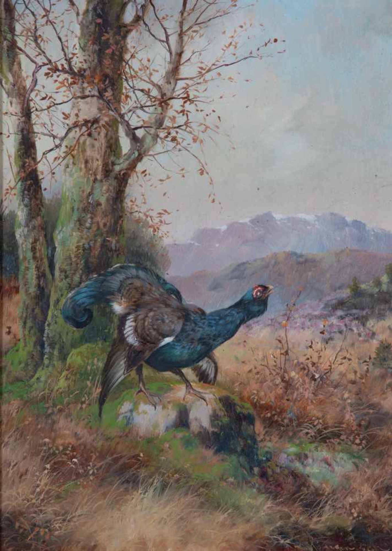 Max Josef Hänger (1874 Munich - 1941 Fürtenfeldbruck). Grouse in autumnal mountainlandscape. Oil