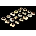 A Set of 19 Prosthetic Glass Eyes,