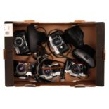 A Selection of Various SLR Cameras,