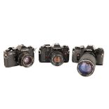 Three SLR Cameras,