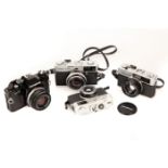 Four Olympus Cameras,