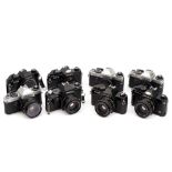 A Selection of Various Yashica SLR Cameras,