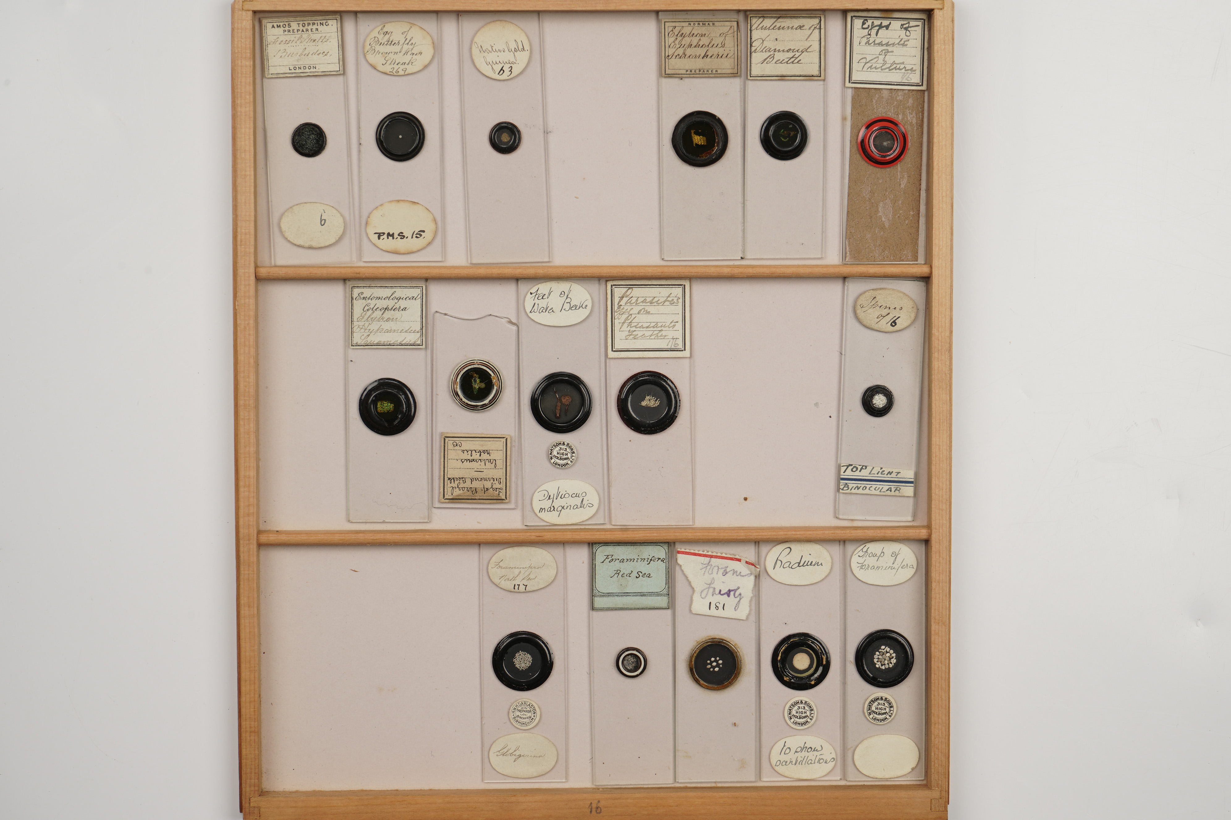 A Large Polished Pine Cabinet of Microscope Slides, - Image 8 of 19