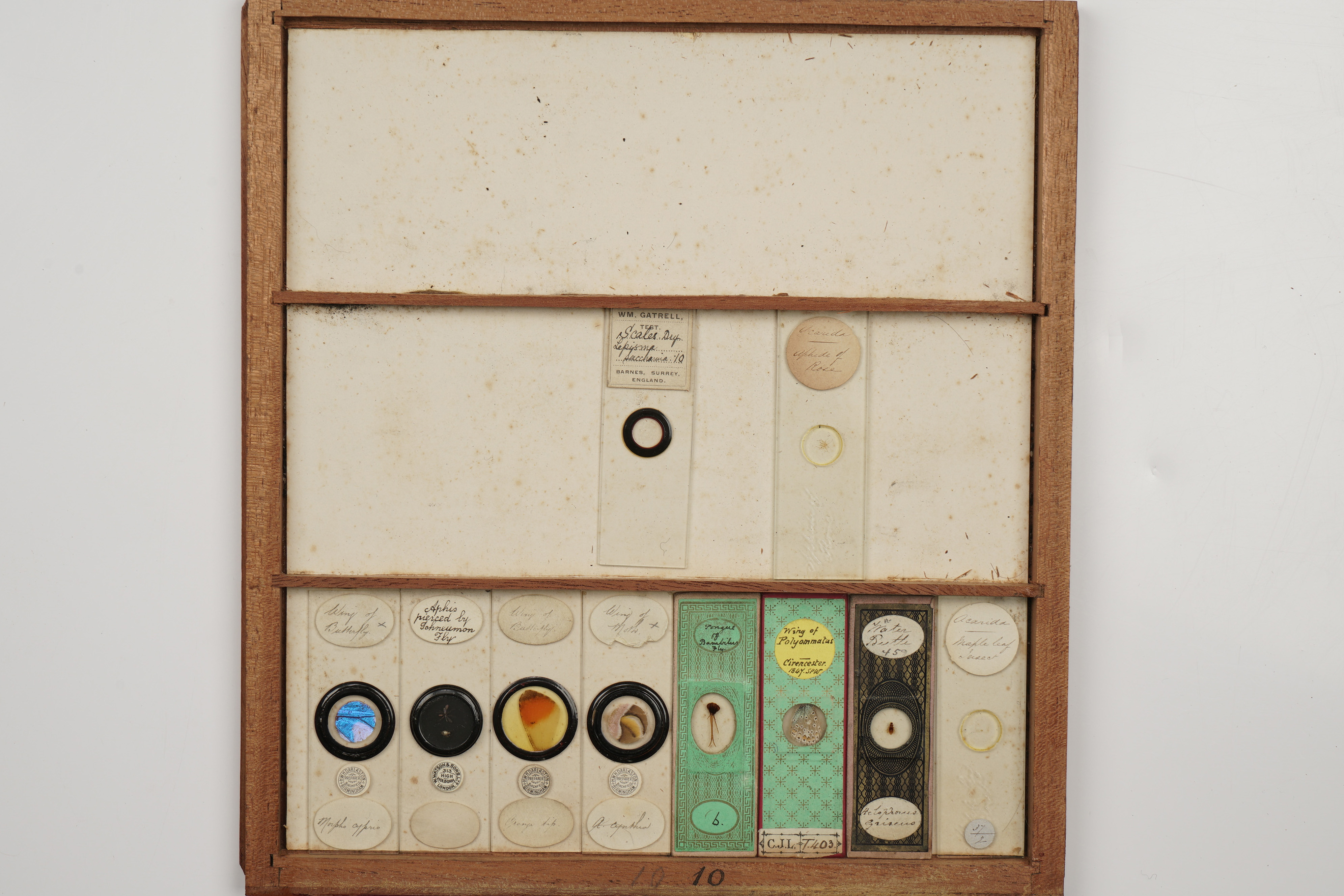 A Large Cabinet of Microscope Slides, - Image 9 of 18