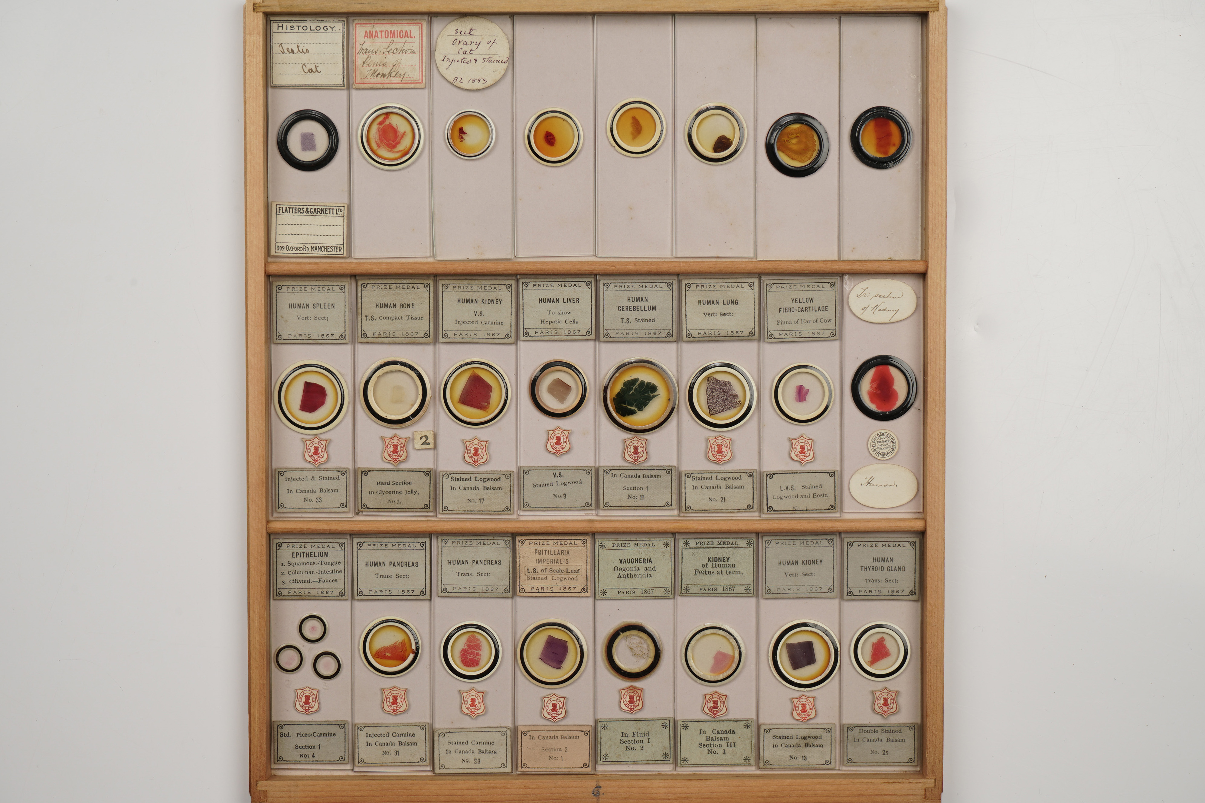 A Large Polished Pine Cabinet of Microscope Slides, - Image 16 of 19