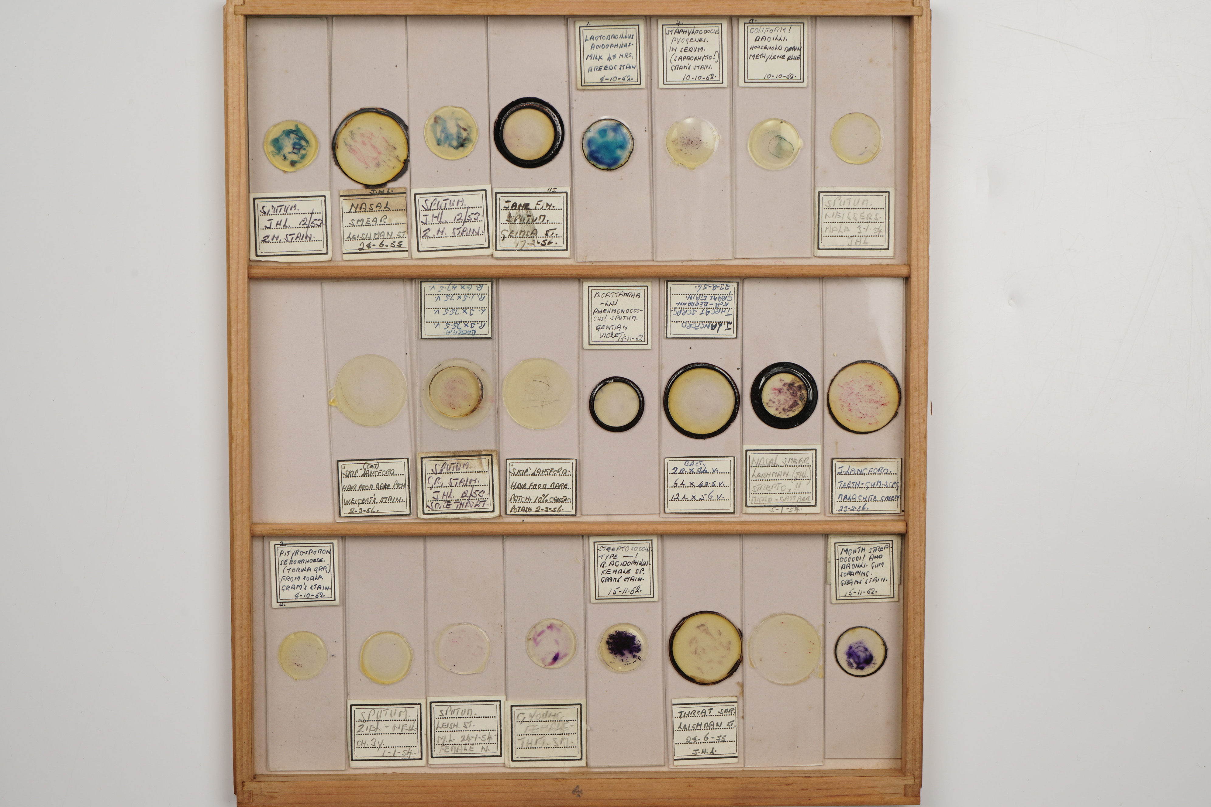 A Large Polished Pine Cabinet of Microscope Slides, - Image 18 of 19