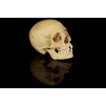 A Human Skull,