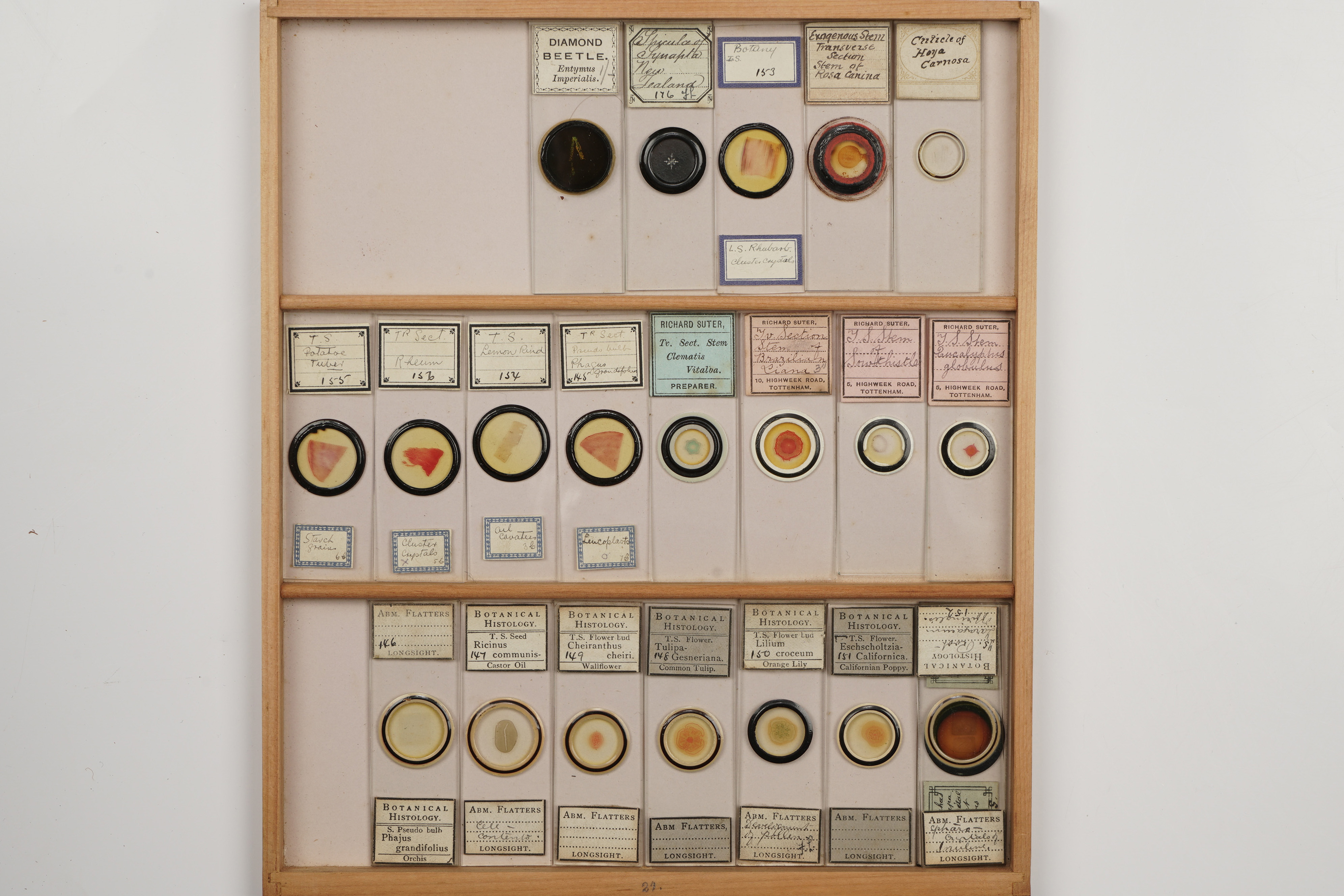 A Large Polished Pine Cabinet of Microscope Slides, - Image 2 of 19