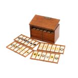 A Very Fine Collection of 84 Insect Microscope Slides by Watson,