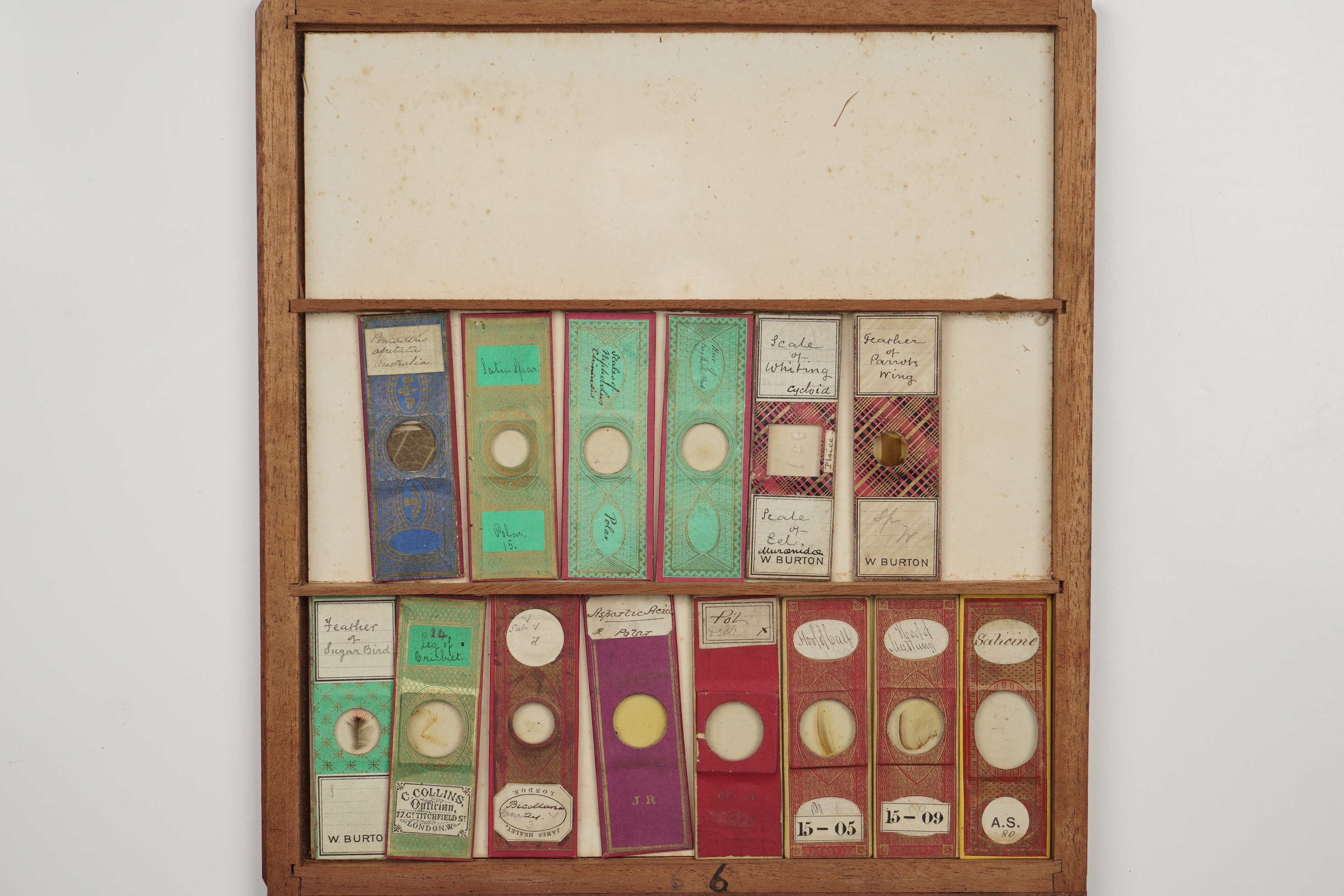 A Large Cabinet of Microscope Slides, - Image 5 of 18