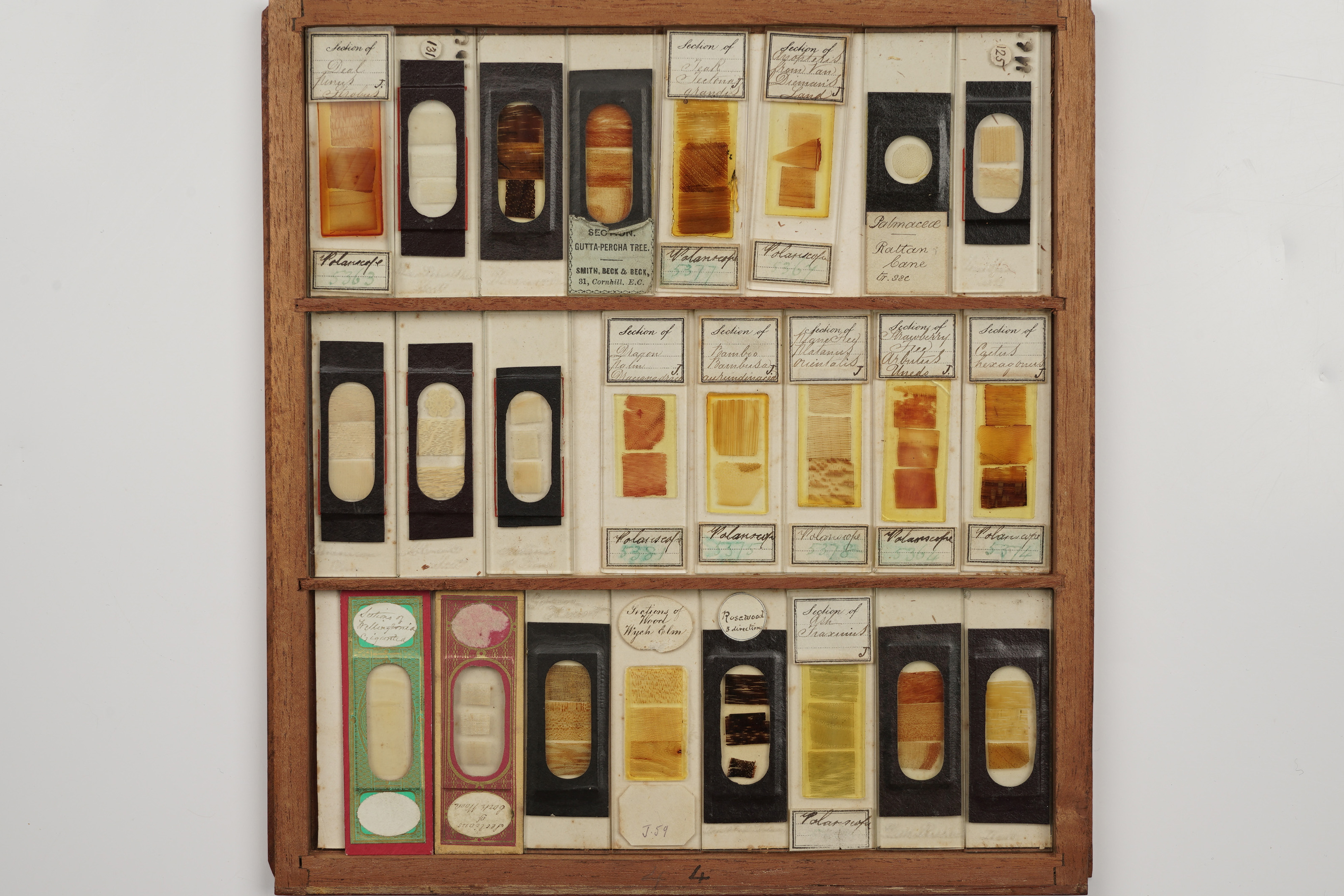 A Large Cabinet of Microscope Slides, - Image 3 of 18