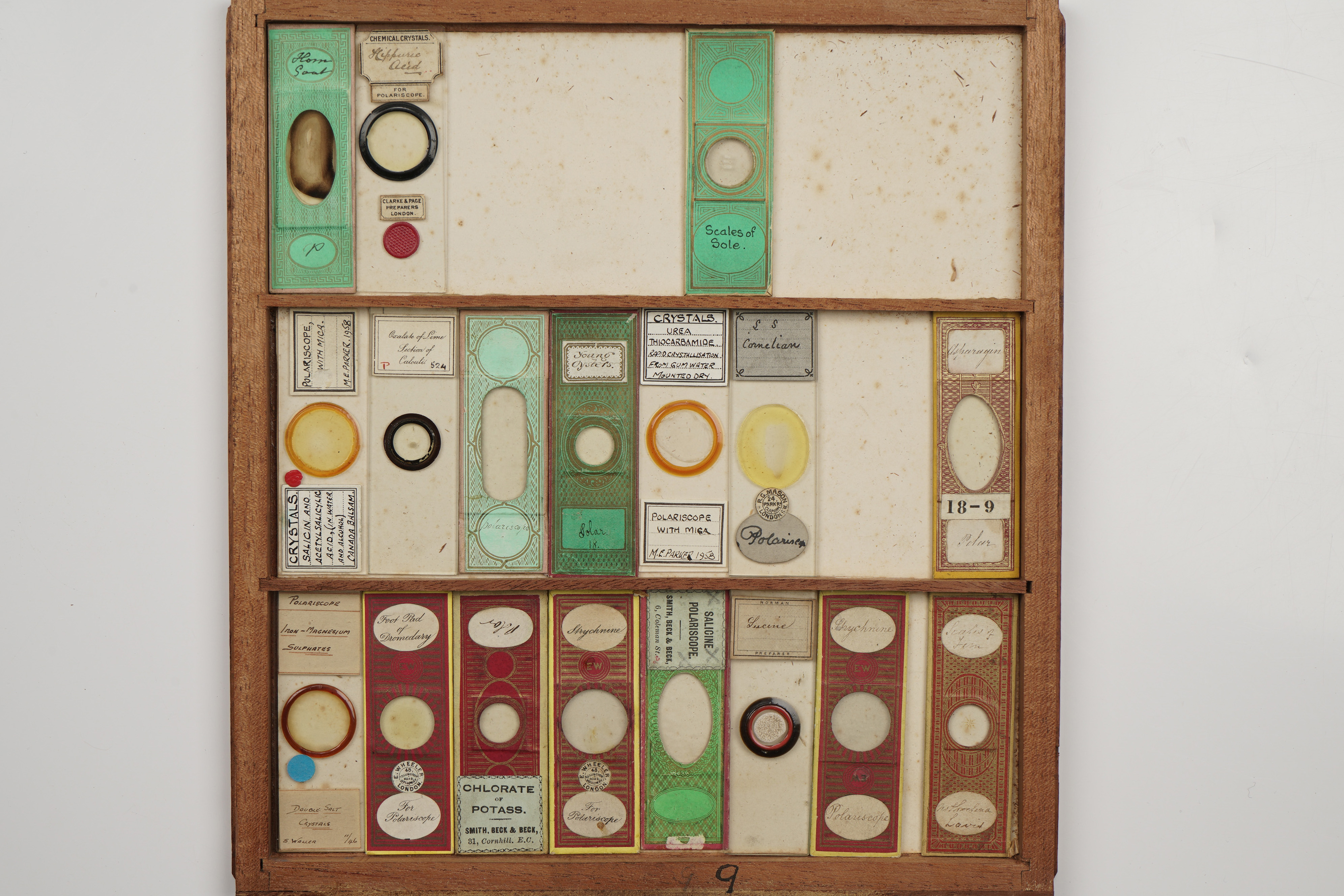 A Large Cabinet of Microscope Slides, - Image 8 of 18